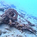 A Sorrento avviato il monitoraggio dei fondali marini