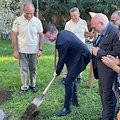 A Sorrento piantato un "Albero della Vita" contro la fibromialgia