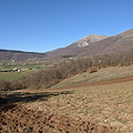 A tenuta Vallaccone è tempo di semina: ecco come nascono le lenticchie più buone d'Italia /Foto