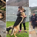 Abbandonato sul ciglio della strada: "Lupo" trova una nuova famiglia. La gioia dell'ENPA Costa d’Amalfi