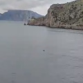 Avvistamento di delfini nella Baia di Ieranto: sullo sfondo Punta Campanella e i faraglioni di Capri / VIDEO