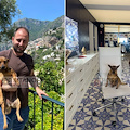 E' stata riconsegnata ai legittimi proprietari la cagnolina che lungo il sentiero degli dei aveva raggiunto Villa Treville a Positano