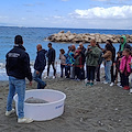 Educazione Ambientale a Massa Lubrense l'Amp Punta Campanella: coinvolti 250 bambini