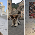 ENPA prepara il calendario 2022, si cercano foto dei trovatelli adottati in Costa d'Amalfi