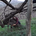 Federico Quaranta sulle vie del vino Costa d’Amalfi DOC da Furore a Tramonti /VIDEO