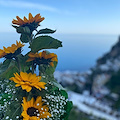 Festa della Mamma a Positano, il messaggio del Sindaco De Lucia "Le mamme sono il motore della società"