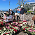 Festa della Mamma in Costa d'Amalfi, volontari AIRC distribuiscono l’Azalea della Ricerca / ECCO DOVE