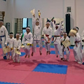 FINE ANNO ACCADEMICO DELLA SCUOLA DI KARATE “ZEN DO KAI"