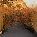 Furore, Giardino della Pellerina nell'abbandono e nell'incuria /FOTO