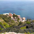 Good Morning Positano. Oggi la Chiesa Cristiana festeggia San Pio V Papa, San Quirino e San Pietro Levita. Meteo: tempo in prevalenza soleggiato