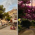 Good Morning Positano. Oggi la Chiesa Cristiana festeggia la Beata Maria Vergine del Monte Carmelo. Meteo: tempo soleggiato