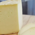 Il Pecorino del Monte Poro una delle Dop più giovani d'Italia entra a fare parte del catalogo di Alimentale Forchetta & Cervello