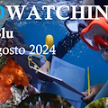 In Costa d'Amalfi fa tappa "BIOWatching nel Blu"': 31 agosto l'iniziativa scientifica di monitoraggio costiero a Praiano 