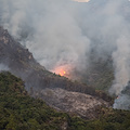 Incendi, Comitato "Tuteliamo la Costiera Amalfitana" chiede ai Sindaci di inoltrare denuncia contro ignoti