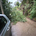 Infuria la tempesta in Costa d’Amalfi, a Tramonti vento e pioggia abbattono alberi in strada /FOTO