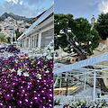 La Chiesa cattolica festeggia San Marco Evangelista. Meteo: nuvoloso. Good Morning Positano 