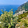 La Chiesa ricorda San Giovanni Eudes. Meteo: nuvolosità variabile. Good Morning Amalficoast