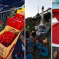 Le conserve di pomodoro in Costiera Amalfitana: una tradizione di agosto che si rinnova anche quest'anno /Foto Fabio Fusco