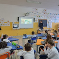 Le scuole di Sorrento protagoniste della tutela ambientale