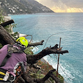 Maltempo a Positano, pianta si abbatte e rischia di cadere sulla strada: l'intervento della ditta Fabio Fusco / FOTO