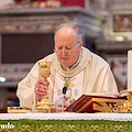 Nicola Sarno di Amalfi compie un altro passo verso il sacerdozio, 14 dicembre sarà nominato Lettore