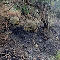 Nudista piromane appicca incendi a Sorrento, intervengono i carabinieri 