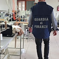 Palma Campania, blitz della finanza: sequestrato opificio abusivo e individuate 15 vittime di caporalato