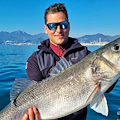 Pesca record nel Golfo di Salerno: preso branzino di oltre 8 kg