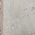 Pompei, turista sfregia parete della casa dei Ceii. Sangiuliano: «Va punito severamente» 