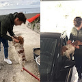 Positano: posta foto di cane smarrito su Fb, dopo 2 ore trovato il padrone