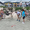 Primo nido stagionale di Caretta caretta sui litorali dell'Area Marina Protetta Regno di Nettuno