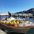 Punta Campanella, riapre il campo ormeggio ecosostenibile a Le Mortelle