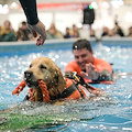 Quattrozampeinfiera Napoli 2025: un weekend imperdibile per cani, gatti e i loro umani