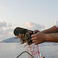 Rifiuti in mare e pesca, dalla Regione Campania bando per realizzare aree attrezzate di stoccaggio