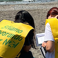 Rifiuti sulle spiagge, in Provincia di Salerno la più inquinata è quella di Vietri sul Mare: l'indagine di Legambiente 