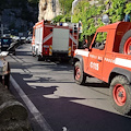 Salvati dai Vigili del Fuoco, stanno bene i 4 gattini in difficoltà a Positano