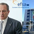 Sicurezza alimentare, Giuseppe Ruocco di Minori eletto nel consiglio di Efsa