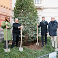 Sorrento, piantata una Camelia Japonica nel nuovo giardino intitolato ad Aniello Califano