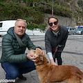 Successo a Positano per il "Chip Day" per l'iscrizione all'anagrafe canina