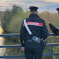 Tenta di gettarsi nel Reno dopo una delusione d'amore, ragazzina salvata dai carabinieri