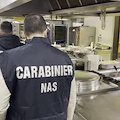 Torre Annunziata, sequestrate 3 tonnellate di carne destinate allo street food