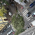 Tragedia sfiorata a Napoli, albero crolla sulla strada in via Bernini 