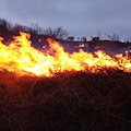 Vico Equense, incendio a Monte Comune nel giorno di Pasquetta 