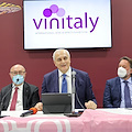 Vinitaly, Caputo lancia il modello Campania: «Vitigni autoctoni, enoturismo e branding regionale per competere sui mercati esteri»