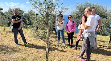 Ad Anacapri con L'Oro di Capri, l'ottava giornata nazionale Camminata tra gli olivi