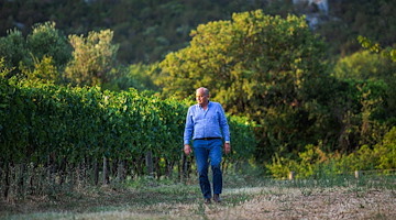 Alla cantina San Salvatore 19.88 il “Robert Parker Green Emblem Award” undici menzioni nel mondo nel 2023 