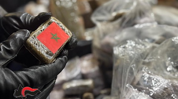 Criminalità organizzata tra Napoli e Caserta: sequestrati 750 chili di droga e 4 arresti