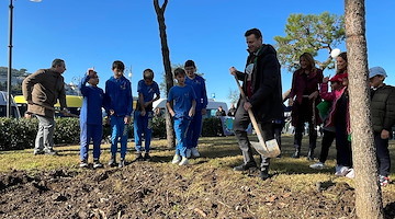 Festa dell’albero: a Sorrento saranno piantate 92 nuove piante