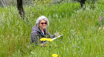 “Gli olivi di Capri. Una storia di agricoltura eroica”: Simonetta Capecchi presenta il suo libro in giro per l’Italia 