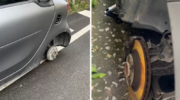 Ladri in azione a Piano di Sorrento: nella notte rubate gomme di un'auto